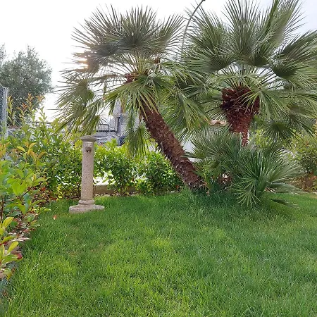 B&B Le Stanze Di Papa Bed & Breakfast